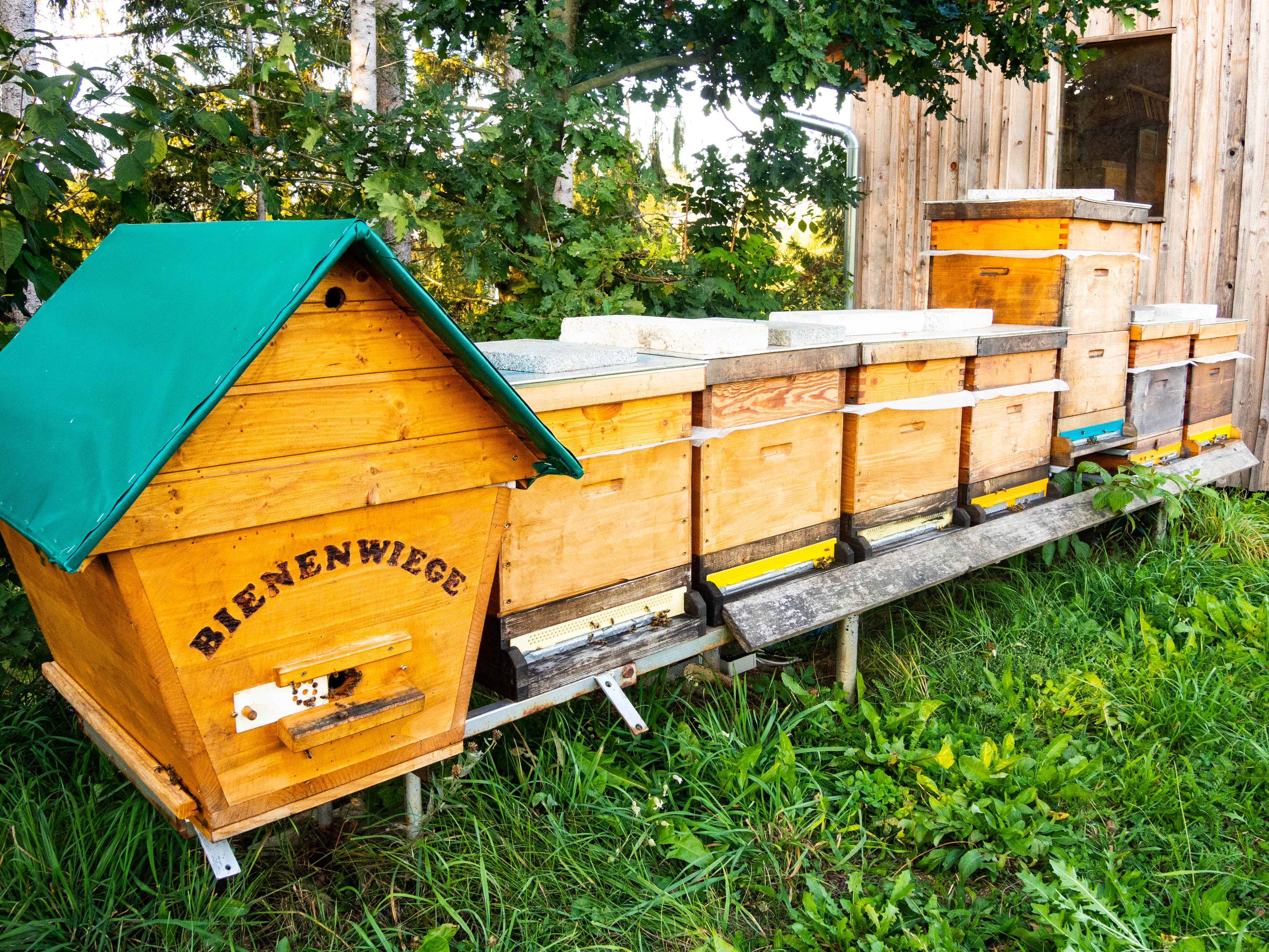 Nahaufnahme einer Bienenwiege sowie einigen Bienenstöcken